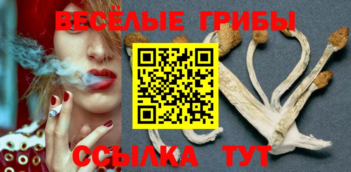 Псилоцибиновые грибы мухоморы Похвистнево