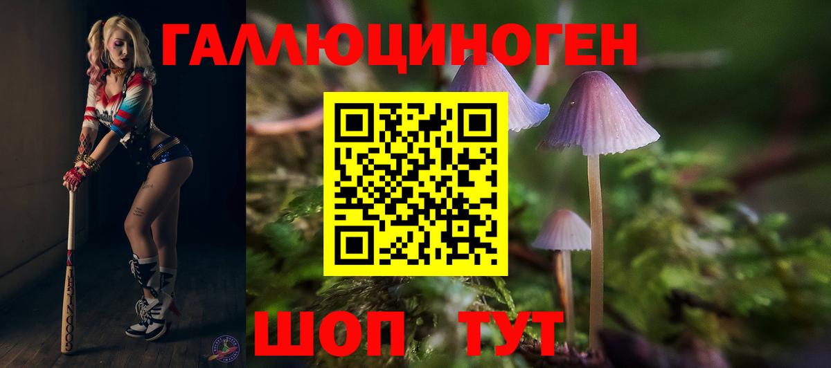Галлюциногенные грибы Psilocybe  Вход с VPN  Похвистнево  Псилоцибиновые грибы мицелий 